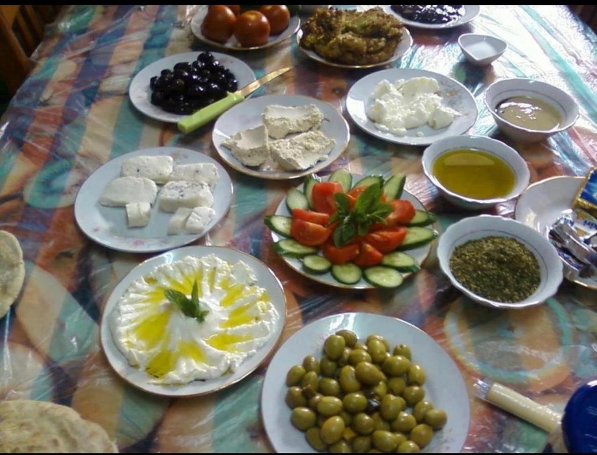Bedouin Adventure & Tours Hotel Вади Рум Екстериор снимка