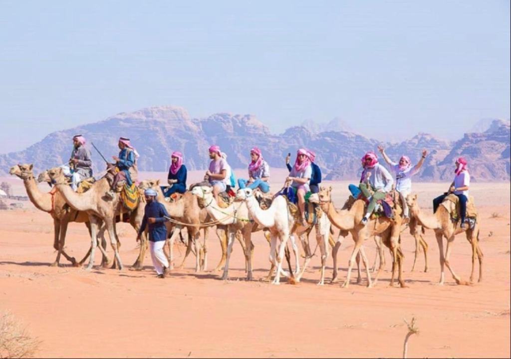Bedouin Adventure & Tours Hotel Вади Рум Екстериор снимка